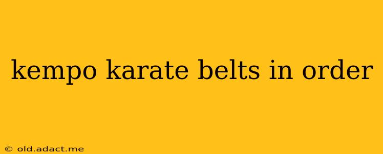 kempo karate belts in order