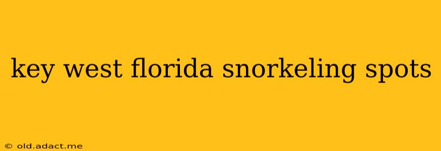 key west florida snorkeling spots