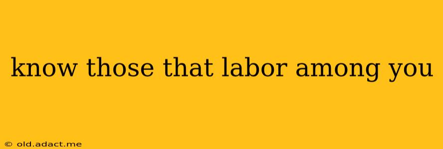 know those that labor among you