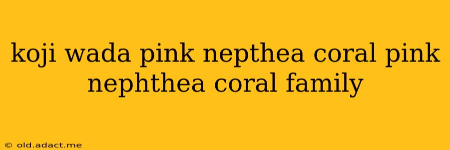 koji wada pink nepthea coral pink nephthea coral family