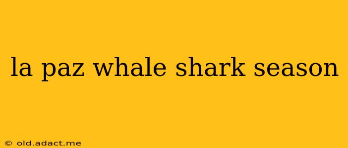 la paz whale shark season