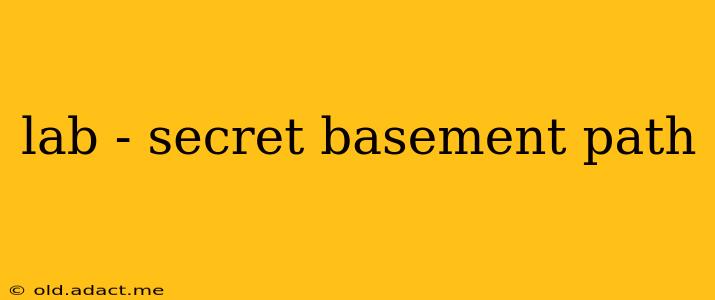 lab - secret basement path