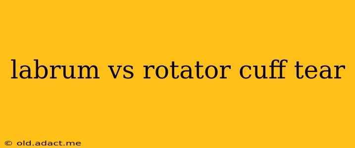 labrum vs rotator cuff tear