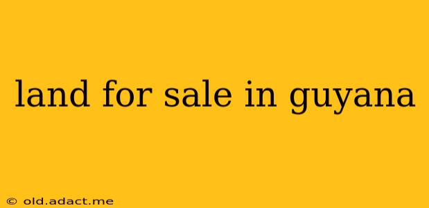 land for sale in guyana