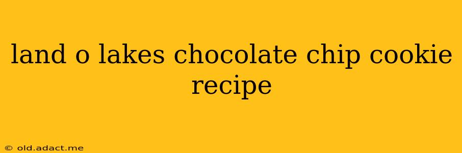 land o lakes chocolate chip cookie recipe