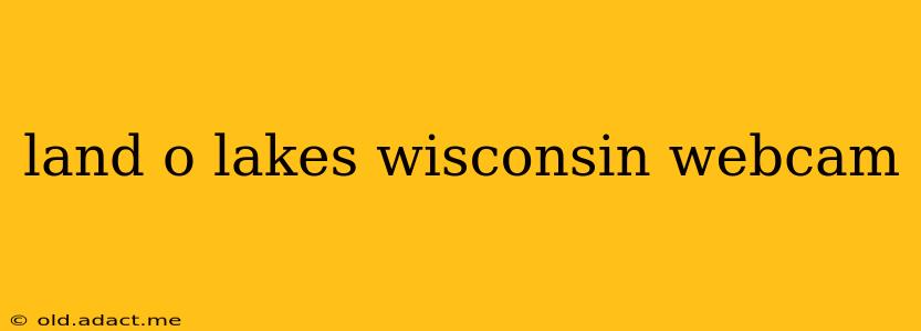 land o lakes wisconsin webcam