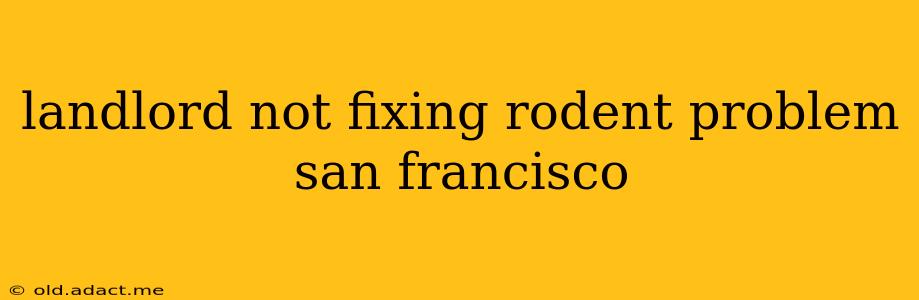 landlord not fixing rodent problem san francisco