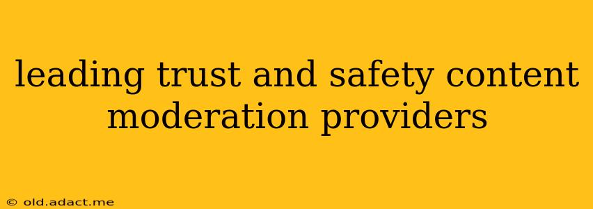 leading trust and safety content moderation providers