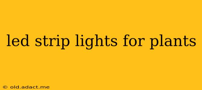 led strip lights for plants