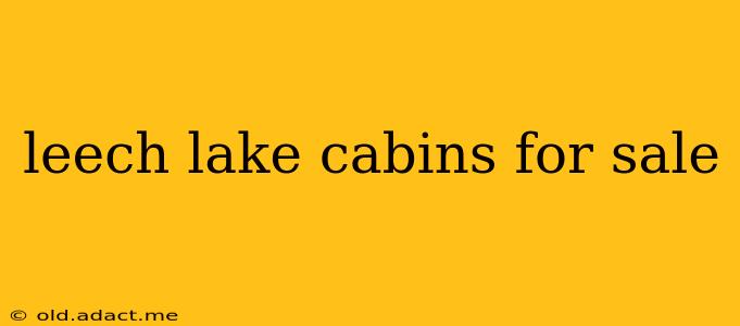 leech lake cabins for sale