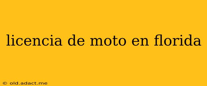 licencia de moto en florida