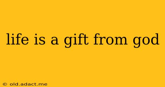 life is a gift from god