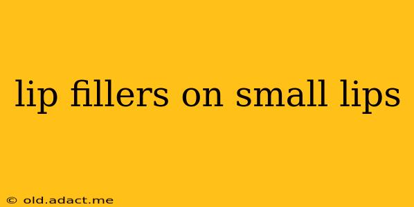 lip fillers on small lips