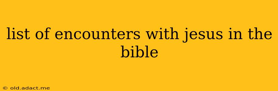 list of encounters with jesus in the bible