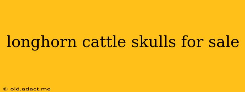 longhorn cattle skulls for sale