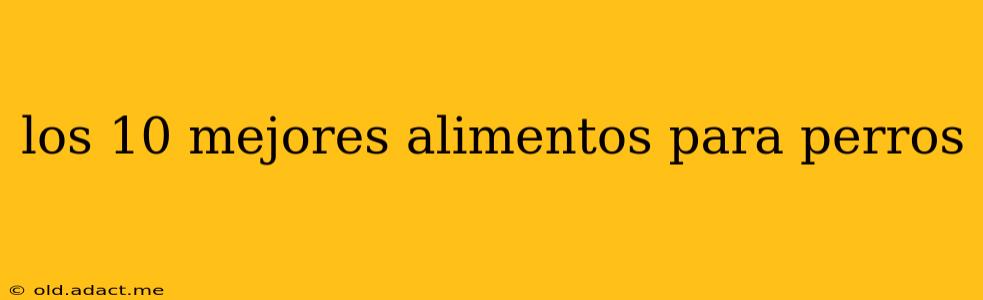 los 10 mejores alimentos para perros