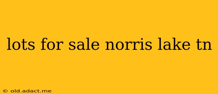lots for sale norris lake tn