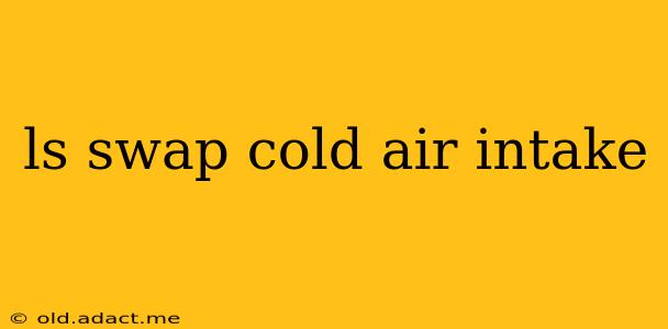 ls swap cold air intake
