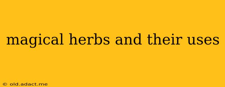 magical herbs and their uses
