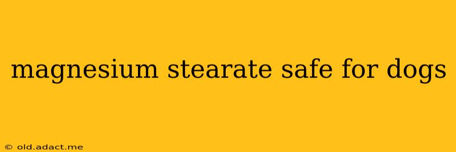 magnesium stearate safe for dogs