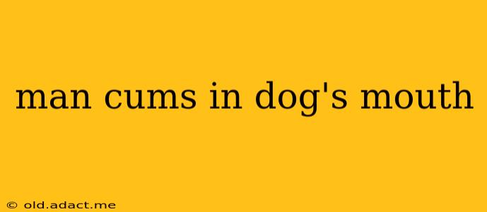 man cums in dog's mouth man cums in dog's mouth