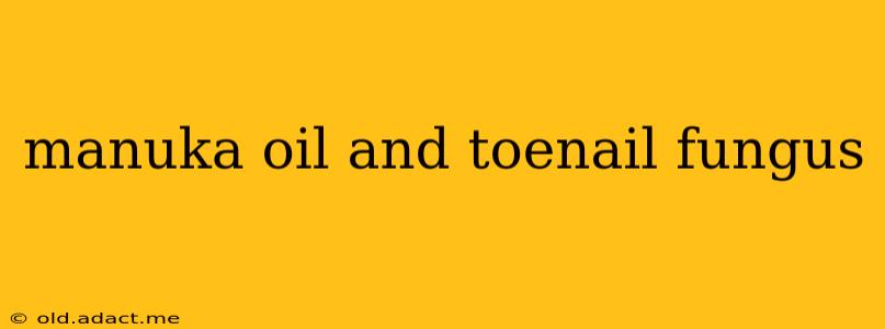 manuka oil and toenail fungus