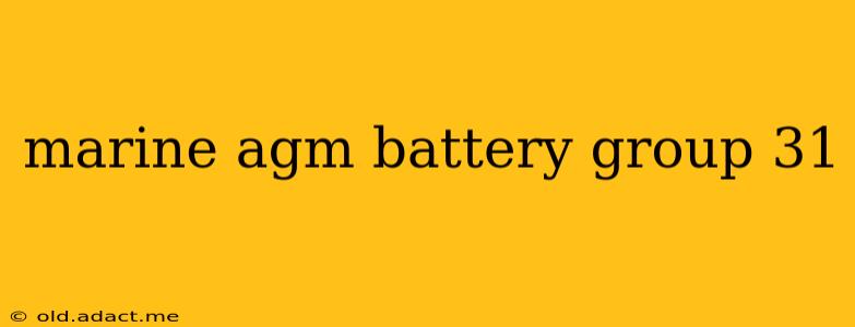 marine agm battery group 31