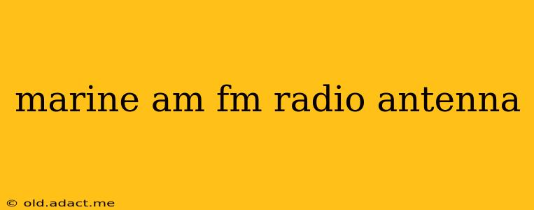 marine am fm radio antenna
