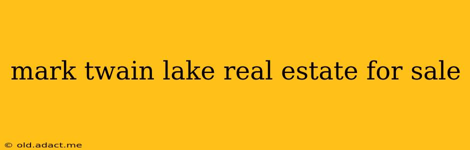 mark twain lake real estate for sale