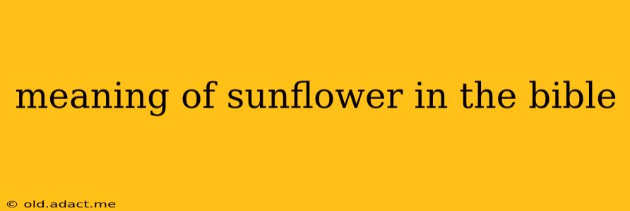 meaning of sunflower in the bible