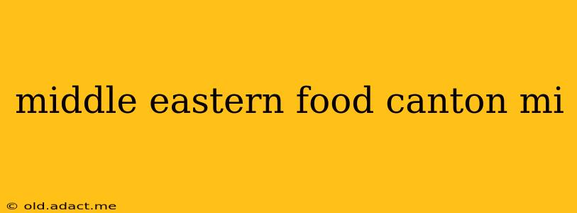 middle eastern food canton mi