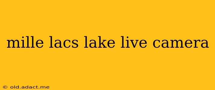 mille lacs lake live camera