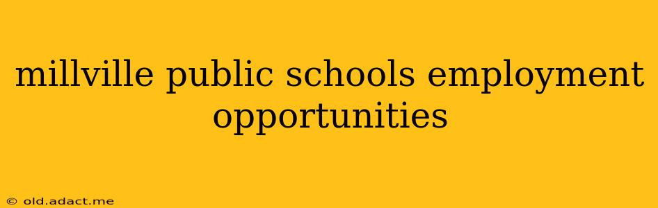 millville public schools employment opportunities