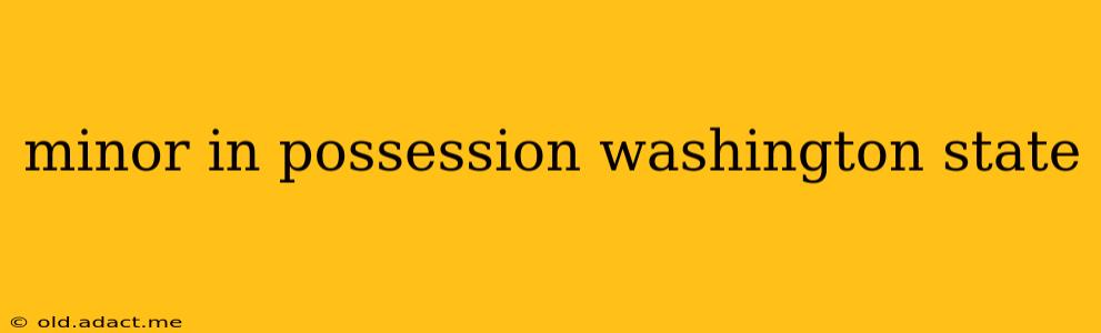 minor in possession washington state