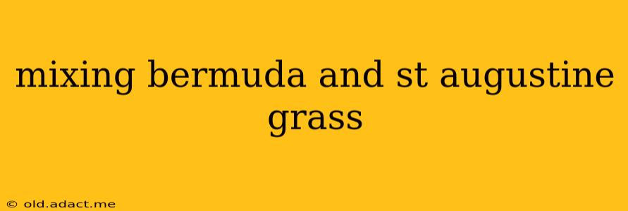 mixing bermuda and st augustine grass