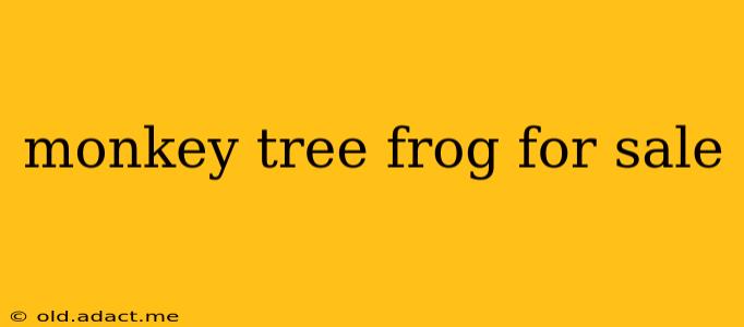 monkey tree frog for sale