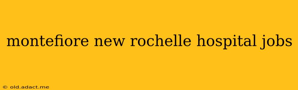 montefiore new rochelle hospital jobs