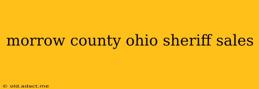 morrow county ohio sheriff sales