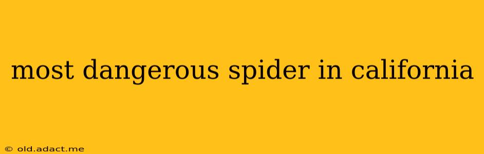 most dangerous spider in california