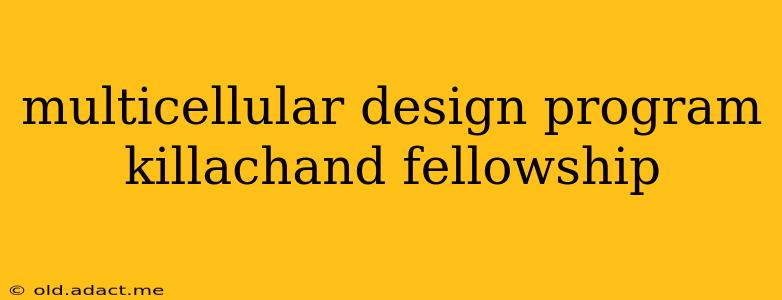 multicellular design program killachand fellowship