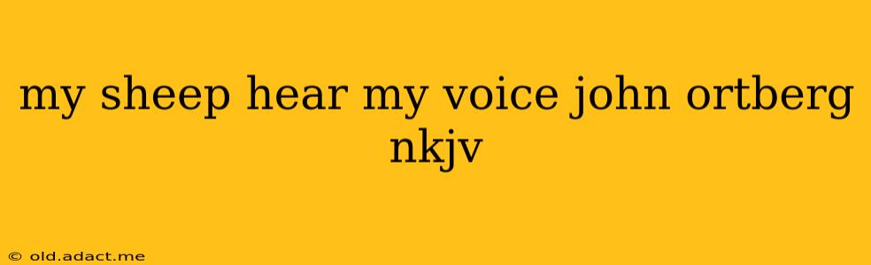 my sheep hear my voice john ortberg nkjv