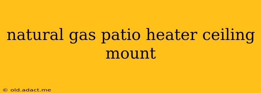natural gas patio heater ceiling mount