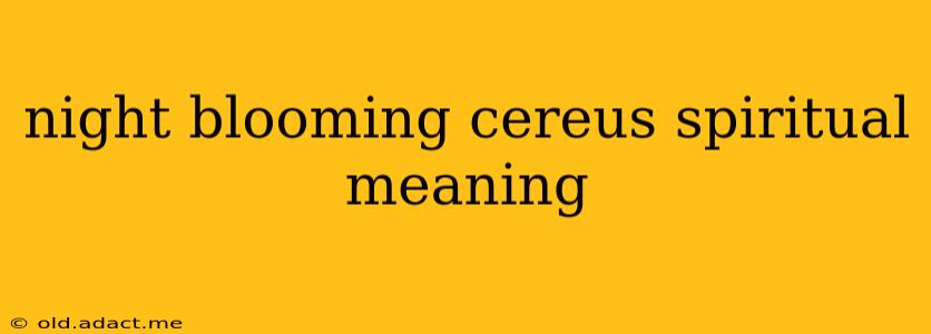 night blooming cereus spiritual meaning