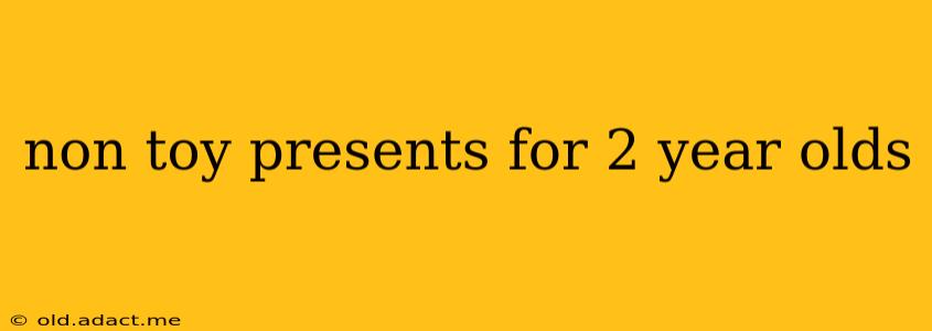 non toy presents for 2 year olds