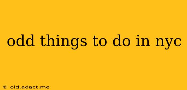 odd things to do in nyc