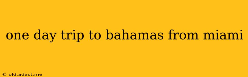 one day trip to bahamas from miami