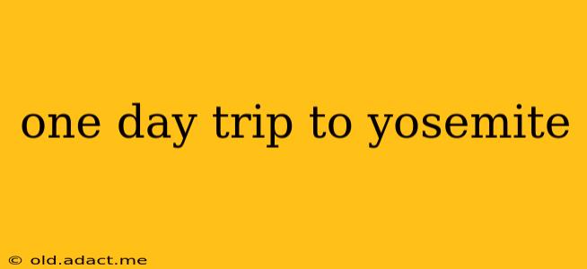 one day trip to yosemite