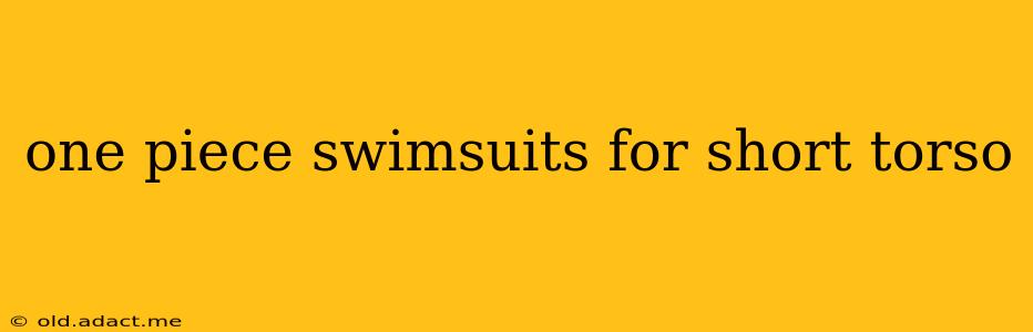 one piece swimsuits for short torso
