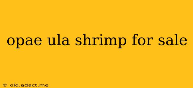 opae ula shrimp for sale