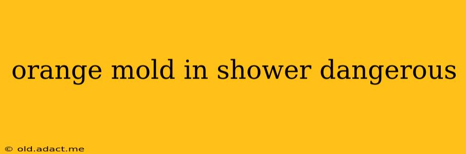 orange mold in shower dangerous